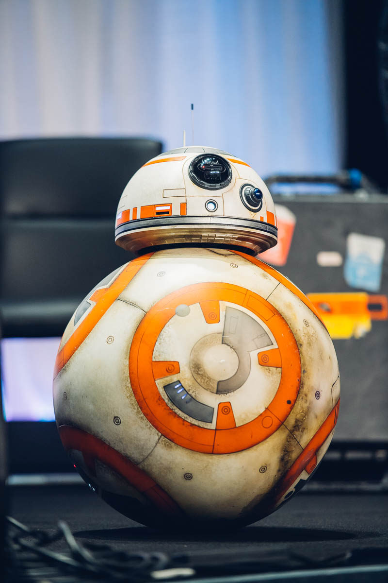 The Red Carpet BB-8