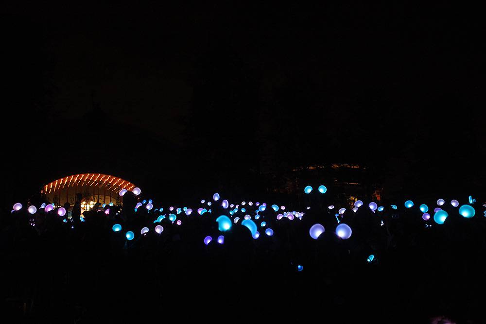 DCA_0688