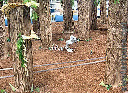 c4 dio atst drags ewoks