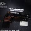 dsc-295