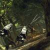startourskashyyyk
