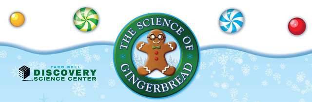 DSC-gingerbread2013