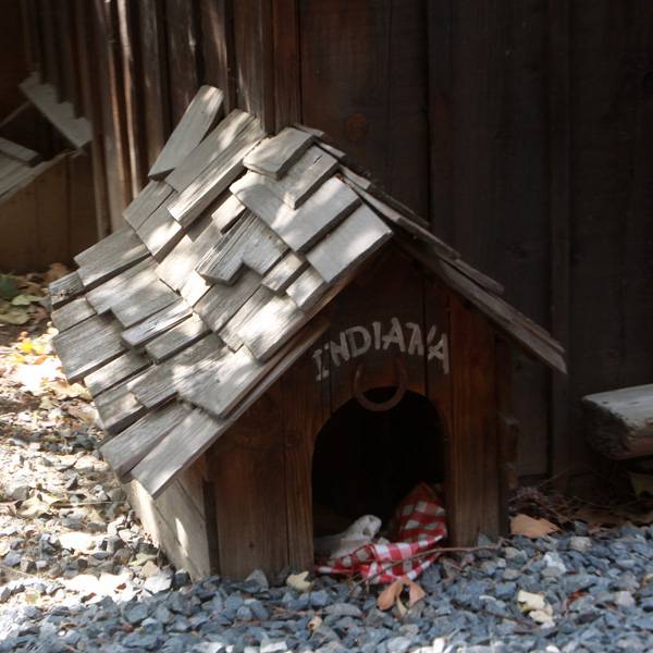 Indiana Dog House - 1