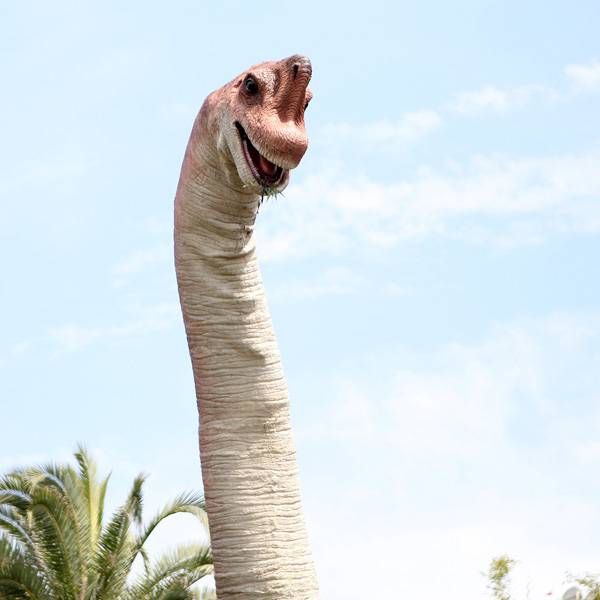 USH05172015_0077