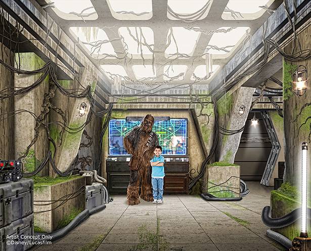 SWBAY-chewie