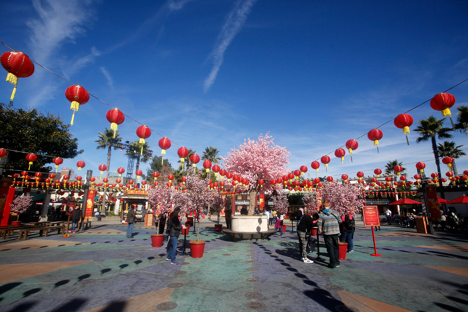 Hello Kitty Goes (Universal Studios) Hollywood! : EndorExpress