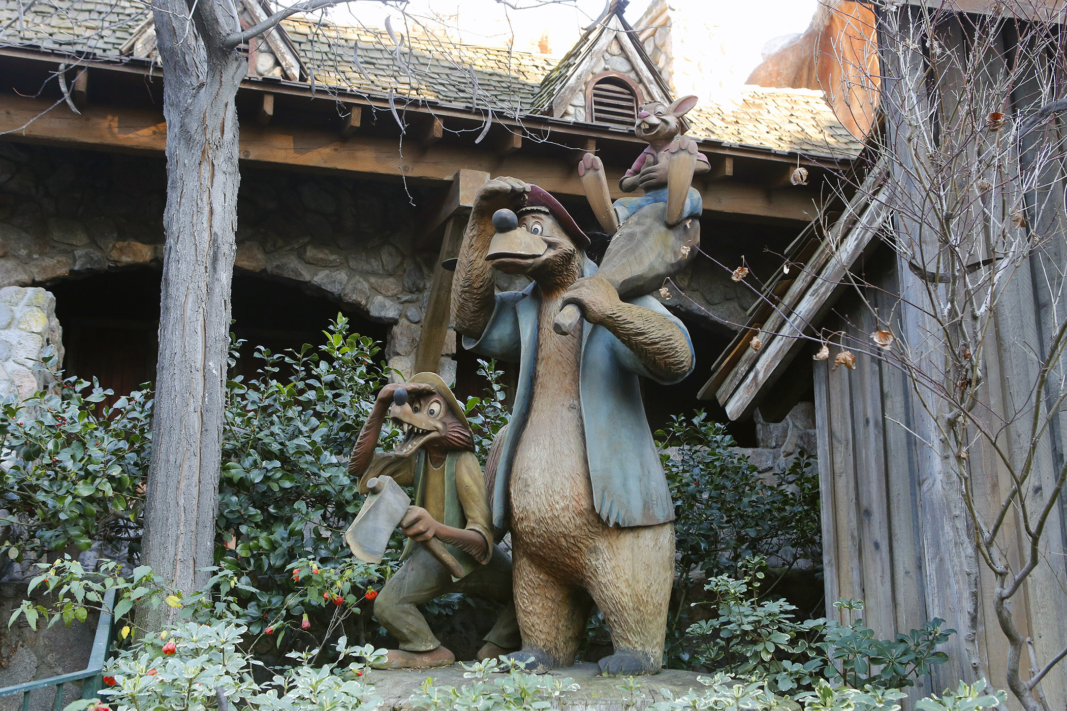 Splash Mountain A Photo Essay EndorExpress