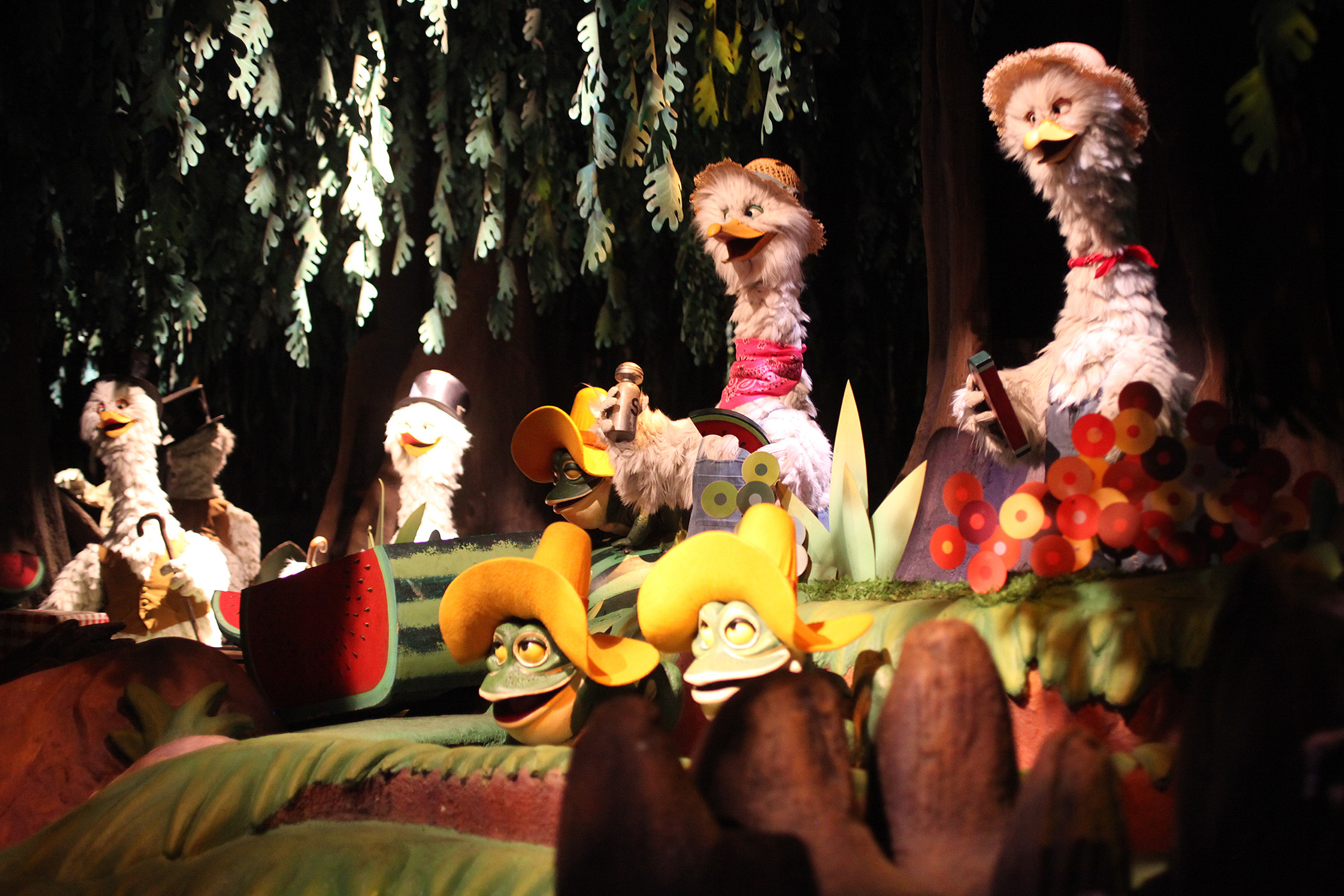 Splash Mountain A Photo Essay EndorExpress