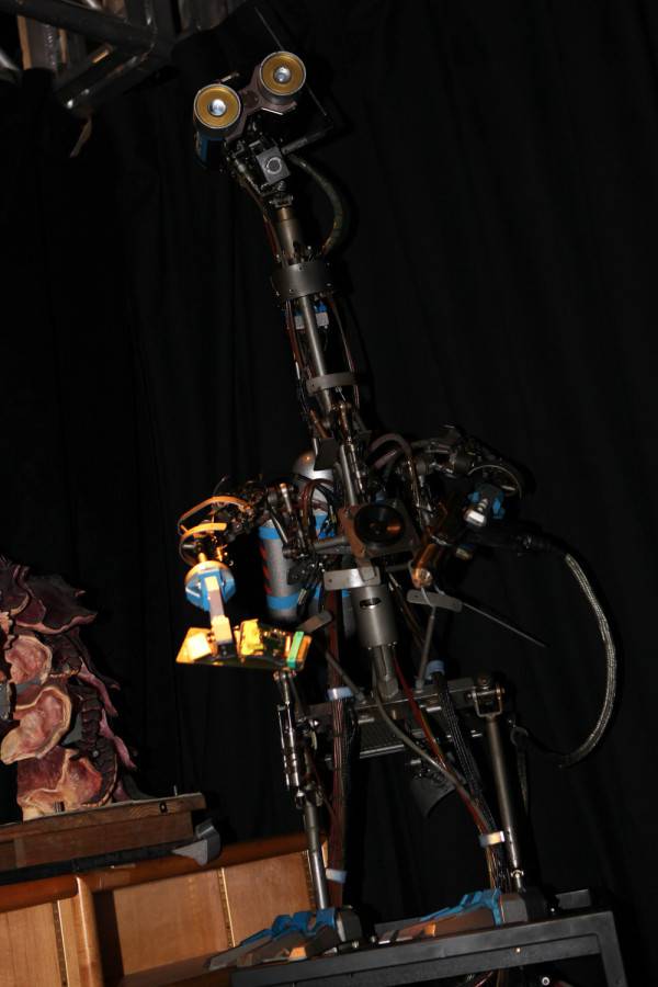D23_08102013_162